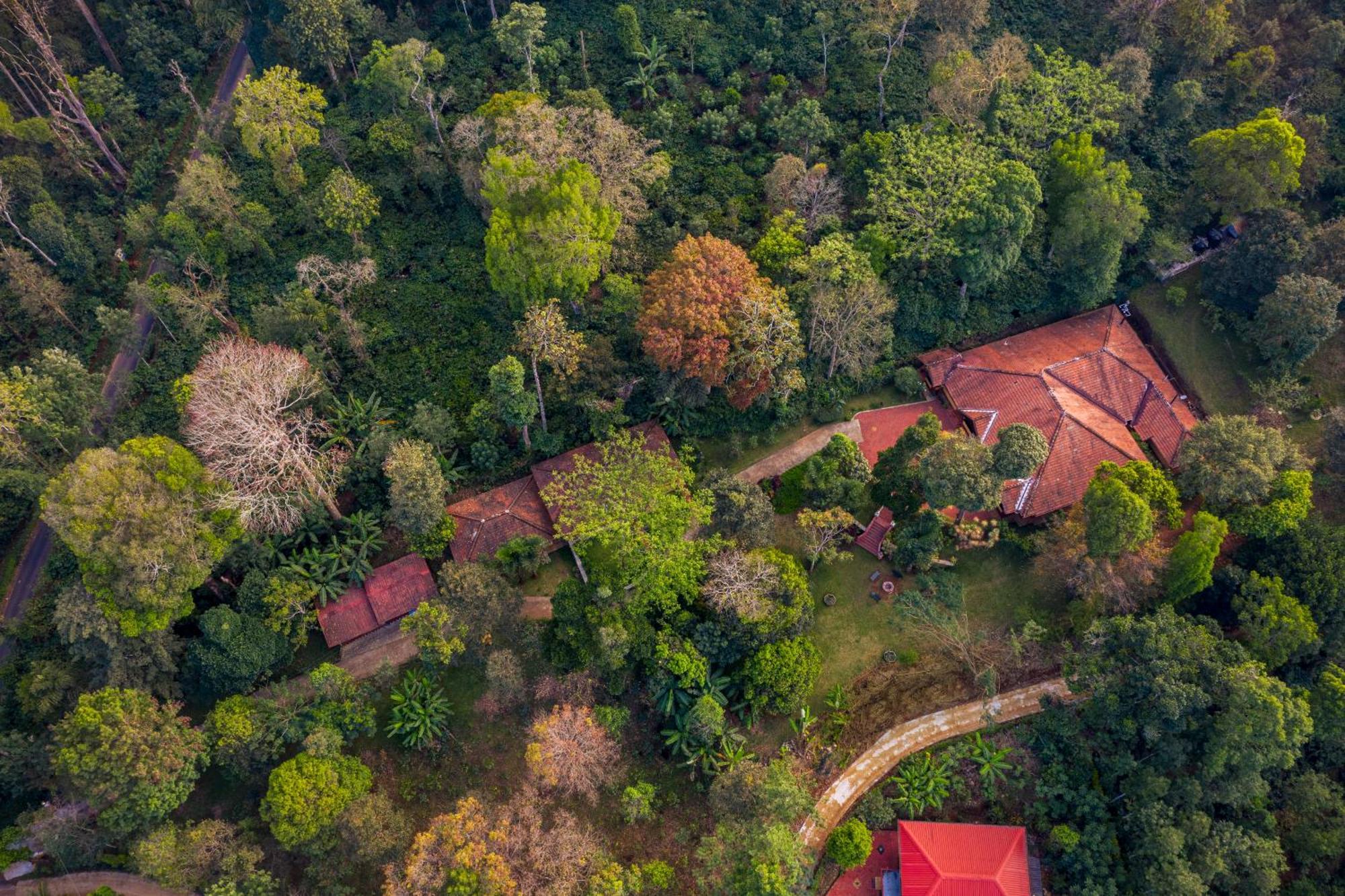 Ama Stays & Trails, Rare Earth Estate Madikeri Exterior foto